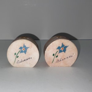 Vintage MARBLE COLORADO souvenir Salt and pepper shakers with pretty flowers, unknown manufacturer, unknown date (see pics).