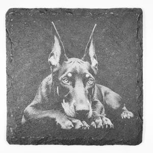 May include: Square slate coaster featuring a detailed grayscale image of a Doberman Pinscher dog. The dog is lying down, with its head and paws visible, and its ears are erect. The coaster has a natural, textured edge.