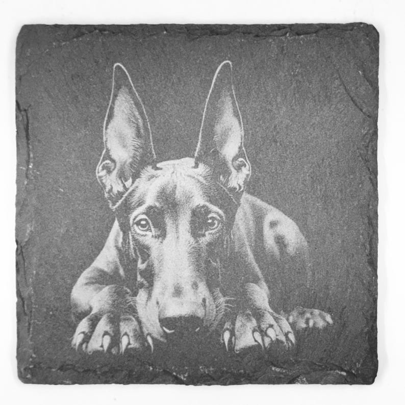May include: Square slate coaster featuring a detailed, grayscale portrait of a Doberman Pinscher dog. The dog is lying down, with its large ears and paws prominently displayed. The coaster has a natural, textured surface.