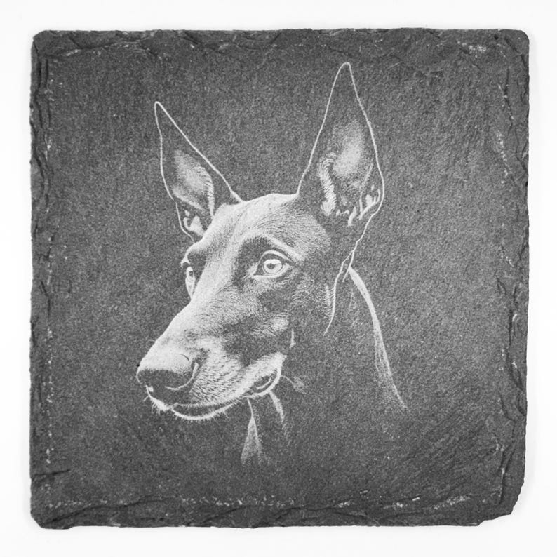 May include: Square, dark gray slate coaster featuring an engraved portrait of a Doberman Pinscher dog. The dog's head and upper body are depicted in detail, with prominent ears and a focused gaze. The coaster has a natural, textured edge.