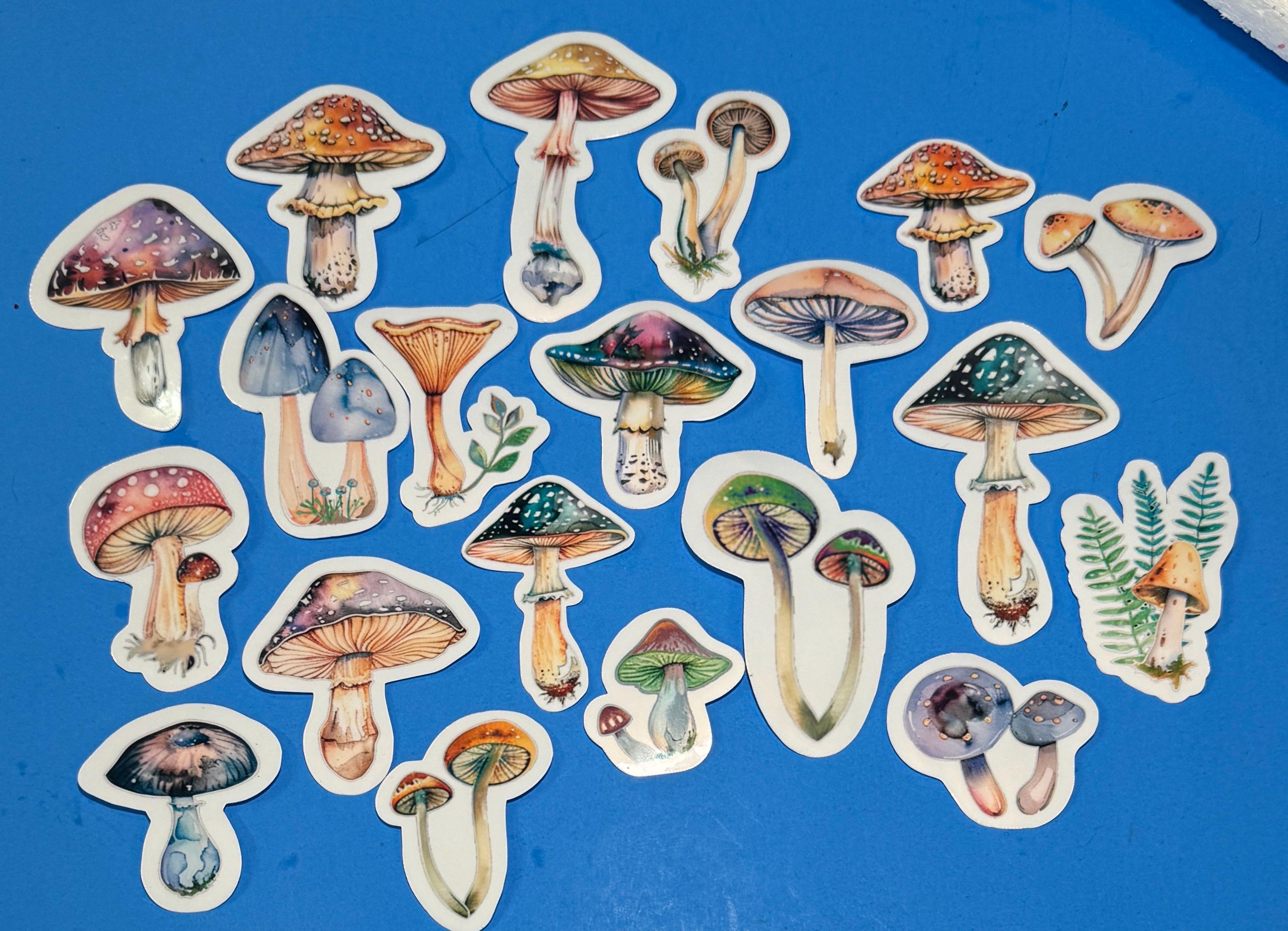 5-20 pack Mushroom Stickers
