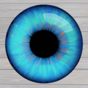 May include: A close-up of a blue eye with a black pupil and a light blue iris. The eye is surrounded by a white sclera.