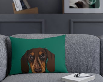 Funny dog cushions, dog face cusihons , Almohadas perros, almohadas graciosas, teckel cushions, almohadas teckel