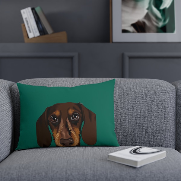 Funny dog cushions, dog face cusihons , Almohadas perros, almohadas graciosas, teckel cushions, almohadas teckel