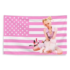 AESPA Winter USA Kpop Pink American Flag Vertical Patriotic Tiktok Meme Trendy Room Tapestry Fanmade Subtle Kpop Merch
