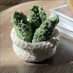 May include: A crocheted succulent plant in a white crocheted pot. The succulent is green and has three leaves.