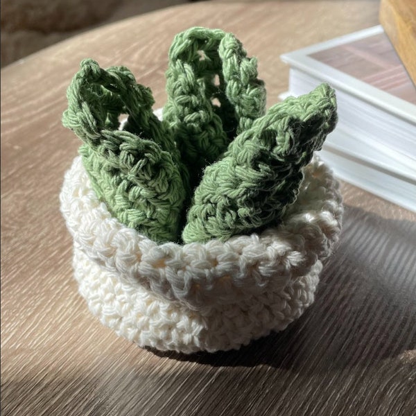 Crochet Succulent Coaster Set Pattern