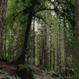 Puede incluir: Imagen pixelada de un bosque. Altos y oscuros troncos de árboles se alzan desde el suelo del bosque, con follaje verde en la parte superior. La luz del sol se filtra a través de los árboles, creando un efecto moteado. La paleta de colores está dominada por verdes y marrones.