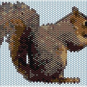 Puede incluir: Una ardilla marrón y gris con una cola tupida está sentada sobre un fondo azul claro. La ardilla está mirando hacia la derecha y tiene la cola enroscada alrededor de su cuerpo.