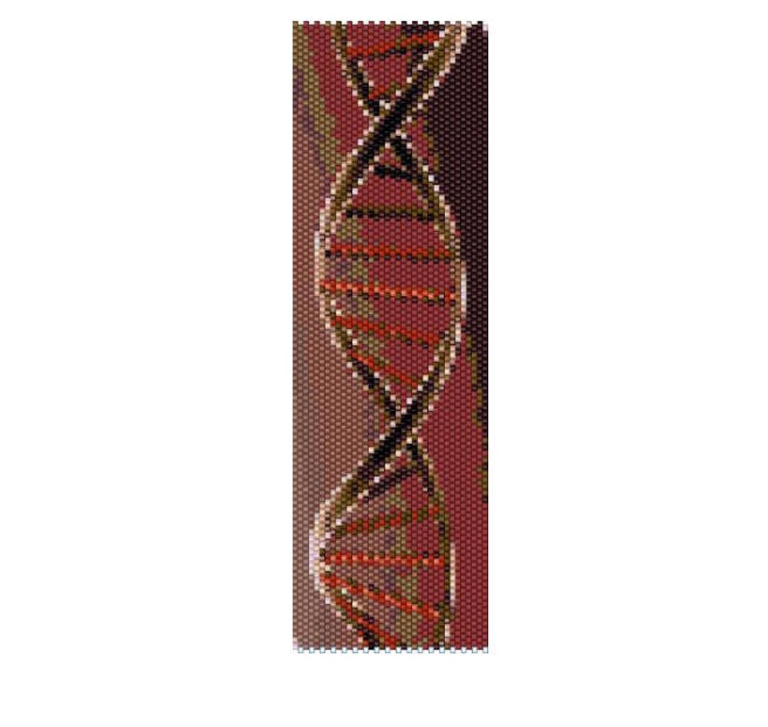 BPDN0001 DNA Even Count Single Drop Peyote Cuff/bracelet Pattern - Etsy