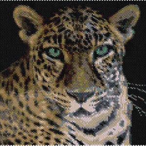 Op de afbeelding: Een close-up portret van een luipaard met groene ogen. De vacht van de luipaard is een mix van bruin, zwart en wit, wat een gevlekt patroon creëert. Het gezicht van het dier is scherp, met zijn neus, snorharen en ogen duidelijk zichtbaar.