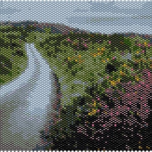 May include: A winding road through a lush green landscape with a variety of wildflowers in shades of pink, yellow, and green. The road is paved and leads to a distant horizon.