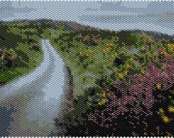Peyote Stitch Pattern for Winding Road, Ireland