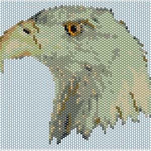 May include: A detailed, pixelated image of an eagle's head in profile. The eagle's eye is a striking orange and black, with a light green beak and feathers in shades of green, grey, and brown. The background is a light blue grid pattern.