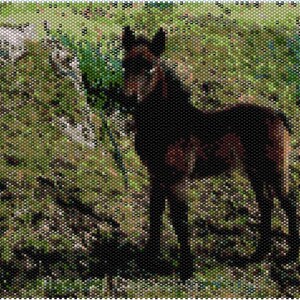 Peyote Stitch Pattern for Connemara Pony