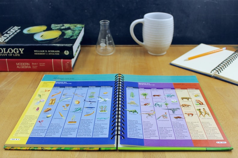 Cells and Heredity Recycled Book Journal Science Explorer Etsy