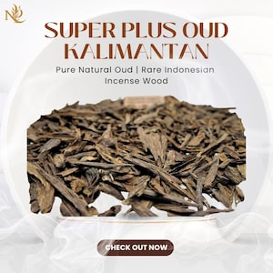 Super Plus Oud Kalimantan | Pure Natural Oud | Rare Indonesian Incense Wood | Aromatic | Nature’s Serene | Ant Nest | Aloeswood