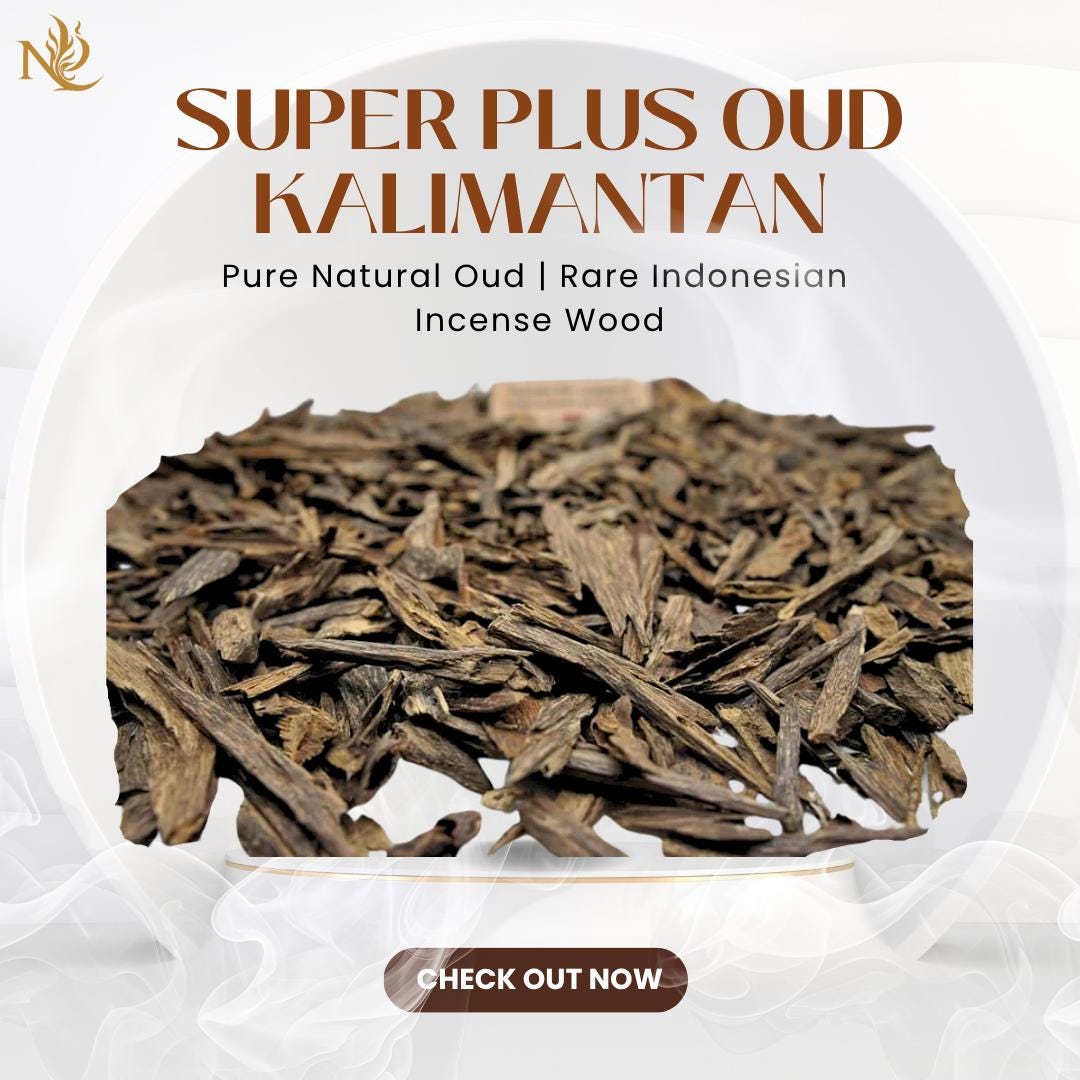 Super Plus Oud Kalimantan | Pure Natural Oud | Rare Indonesian Incense Wood | Aromatic | Nature’s Serene | Ant Nest | Aloeswood