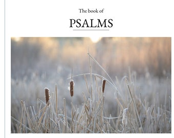 Book of Psalms (Dutch)