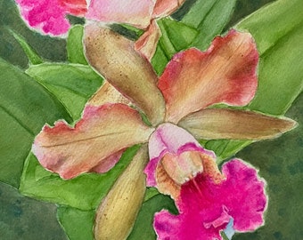 Volcano Queen Orchid Watercolor Painting by Jennifer Greenfield