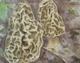 Morel Mushroom Watercolor- Hidden Treasure by Jennifer Greenfield