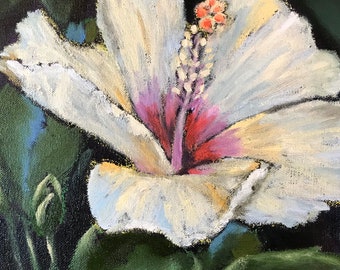 Hibiscus Flower- Spotlight Original Oil Painting by Jennifer Greenfield