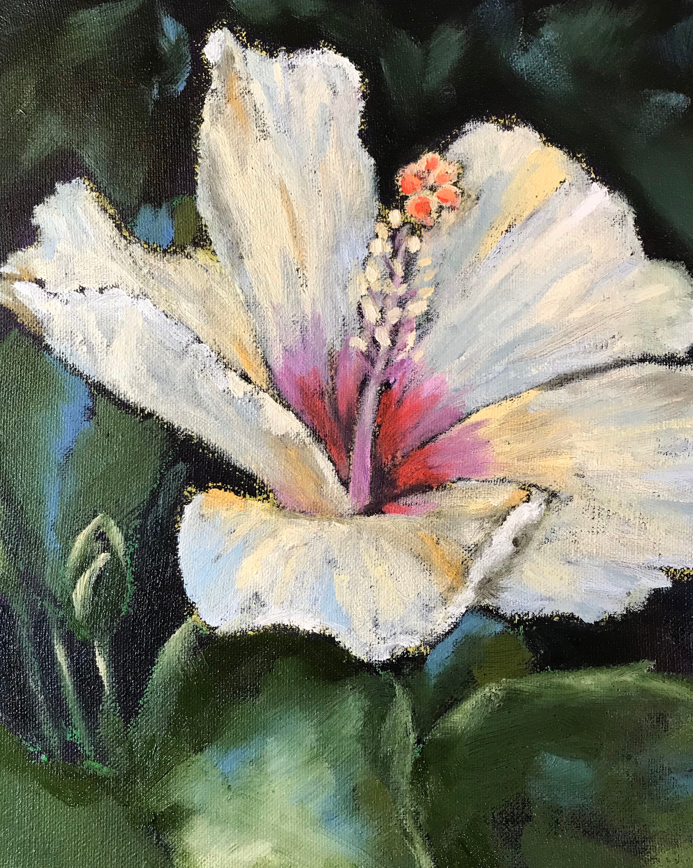 Hibiscus Flower Spotlight Original Oil Painting by Jennifer Etsy