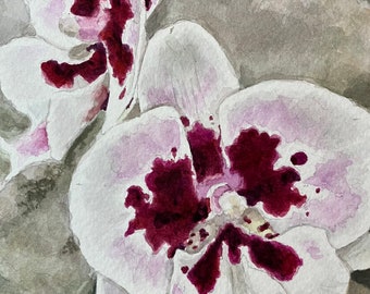 Rare Orchid watercolor painting- Vantage Point by Jennifer Greenfield