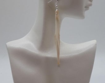 Coyote Baculum (penis bone) Earrings with sterling silver earwires