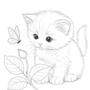 Op de afbeelding: Gedetailleerde zwart-wit illustratie van een pluizig katje met grote ogen, kijkend naar een vlinder. Een rozenknop en bladeren zijn ook in de tekening opgenomen. De afbeelding is een kleurplaat.