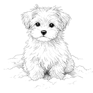 Op de afbeelding: Zwart-wit illustratie van een pluizige puppy die in een wolkenachtige omgeving zit. De puppy heeft grote, donkere ogen en een kleine neus, met zachte, getextureerde vacht. Gedetailleerde lijntekening.