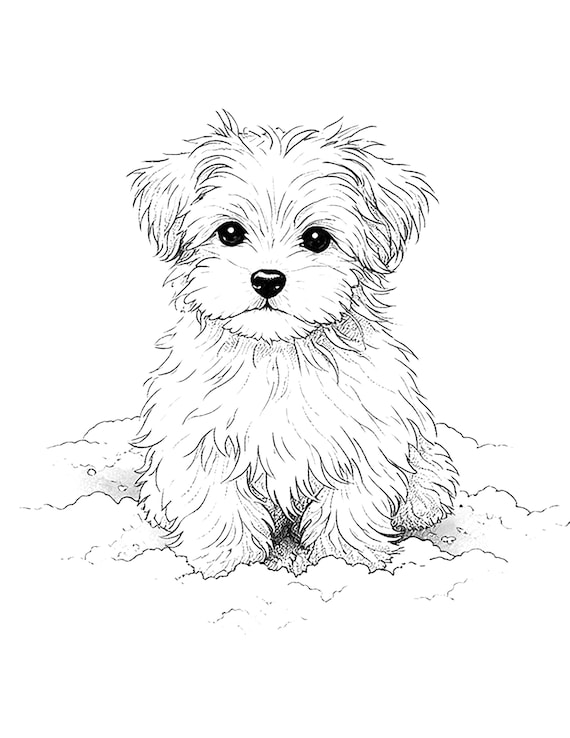 Cute Puppy Coloring Page Printable Dog Coloring Sheet for Kids and Adults
