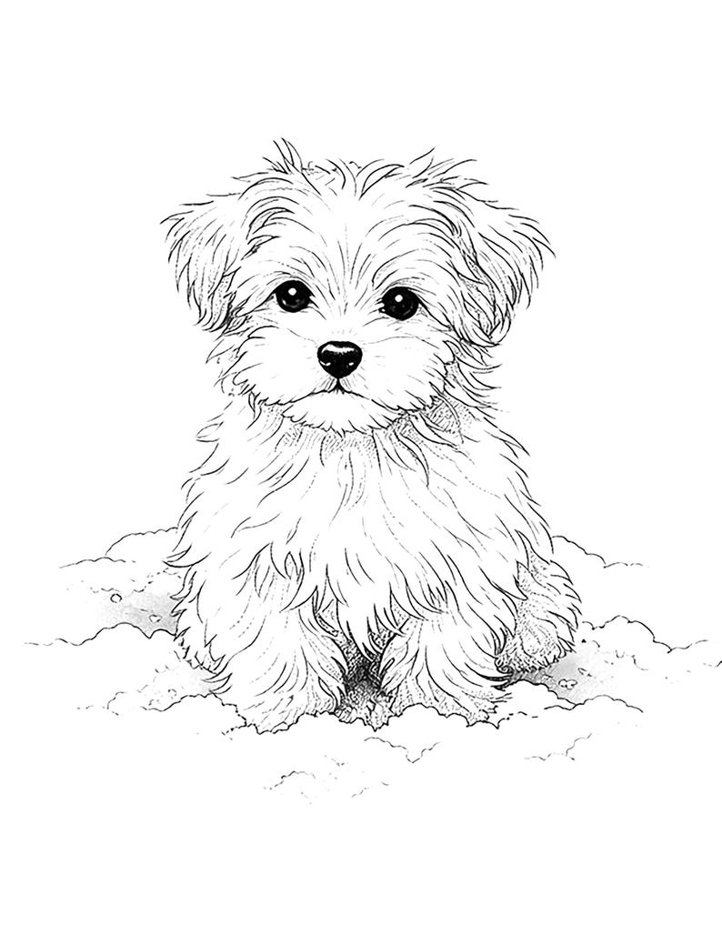 Puede incluir: Ilustraci&oacute;n en blanco y negro de un cachorro esponjoso sentado en un entorno nublado. El cachorro tiene ojos grandes y oscuros y una nariz peque&ntilde;a, con pelaje suave y texturizado. Dibujo lineal detallado.