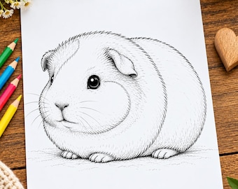 Cute Guinea Pig Coloring Page Printable, Fluffy Small Pet Coloring Sheet, Instant Digital Download