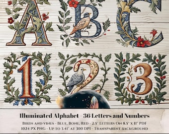 Illuminated Alphabet Clipart - Transparent PNG - 36 Letters and Numbers - Medieval Oak, Red Flowers, Birds, and Berries for Junk Journals
