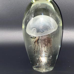 Dynasty Gallery Jellyfish Glass Paperweight - Glows in the Dark - 6.5”