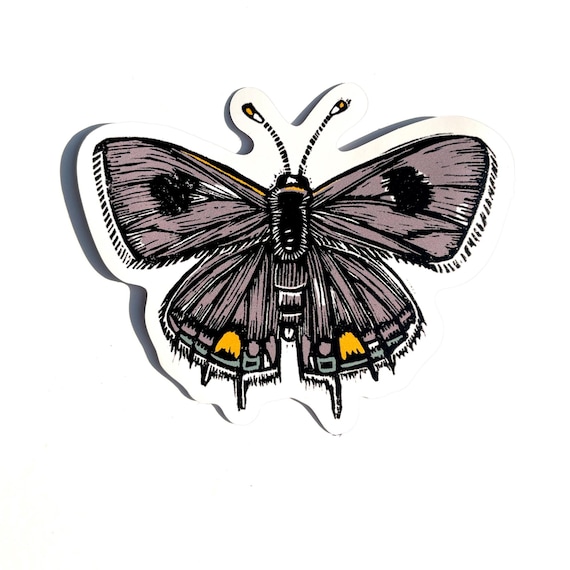 Grey Hairstreak Butterfly vinyl sticker | sticker for water bottle | laptop sticker | phone case sticker