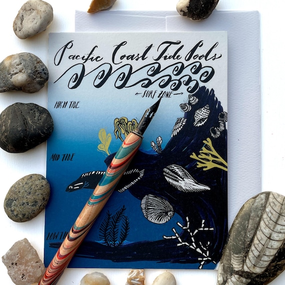 Tide Pools in the Pacific Northwest Card