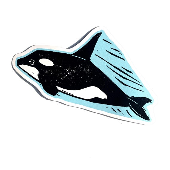 Orca whale vinyl sticker