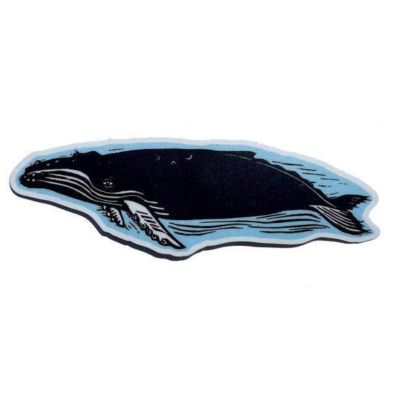 Humpback whale vinyl sticker