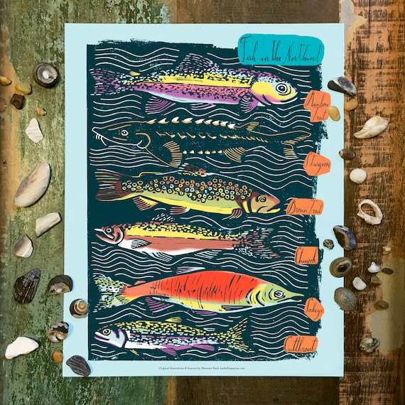 Fish in the Northwest | Nautical Art | Wall Art | 11x14 print unframed