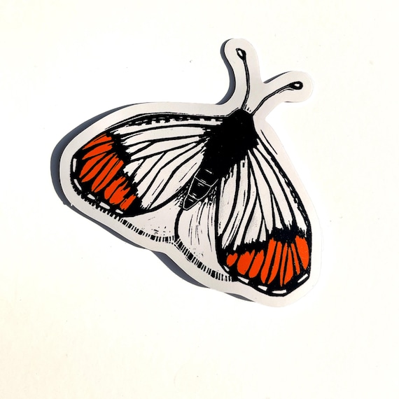 Orangetip Butterfly vinyl sticker | sticker for water bottle | laptop sticker | phone case sticker