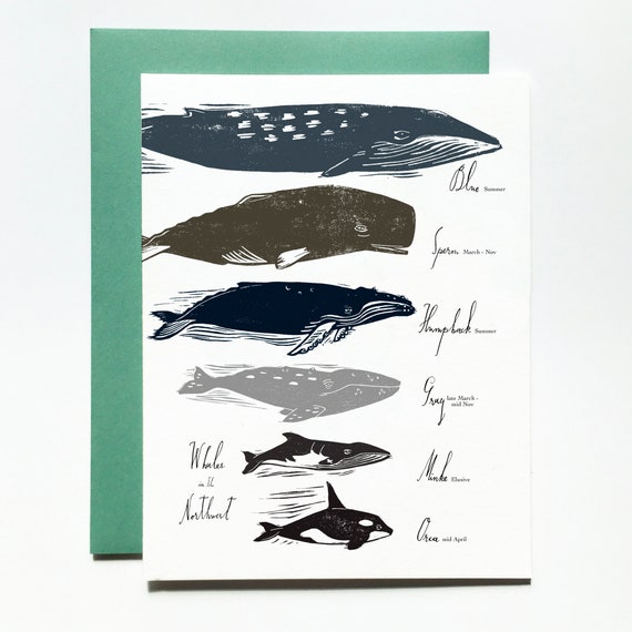 Whales in the Pacific Northwest Card