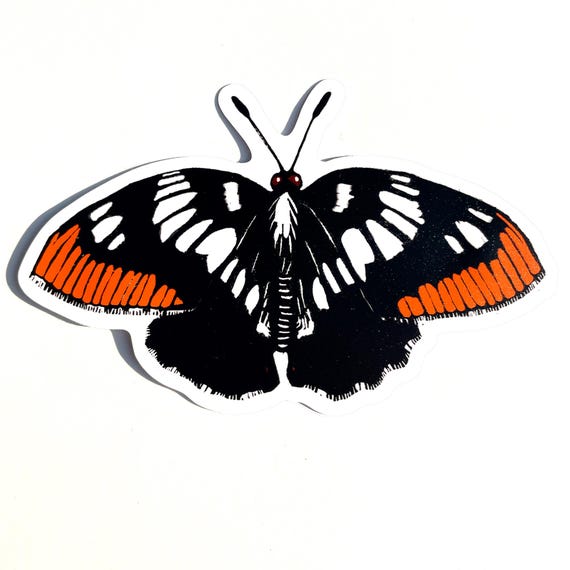 Lorquin's Admiral Butterfly vinyl sticker | sticker for water bottle | laptop sticker | phone case sticker