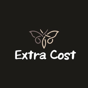 May include: A logo with a stylized butterfly design in brown and beige colors. The text "Extra Cost" is written below the butterfly in white.