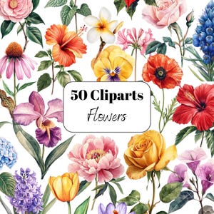 50 imágenes prediseñadas de flores de acuarela, paquete de imágenes prediseñadas florales botánicas, fondo transparente, imágenes prediseñadas de flores, descarga digital