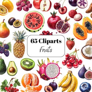Fruit Clipart PNG Bundle, Watercolor Fruits with Transparent Background, Tropical, Summer Fruit Illustrations, Transparent Png, Fruit Png