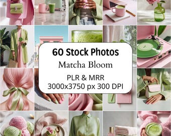 Matcha Bloom Stock Photos, Pink and Green Feminine Editorial Bundle (PLR and MRR)