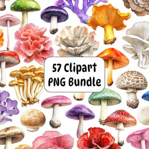 Mushroom Clipart, Transparent Background, Clipart Bundle, Watercolor Mushrooms Clipart PNG Bundle, Nature, Digital Download, Commercial Use,