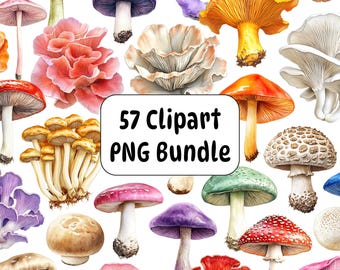 Aquarell Pilz Clipart PNG Bundle, Pilz Grafiken (digitaler Download)
